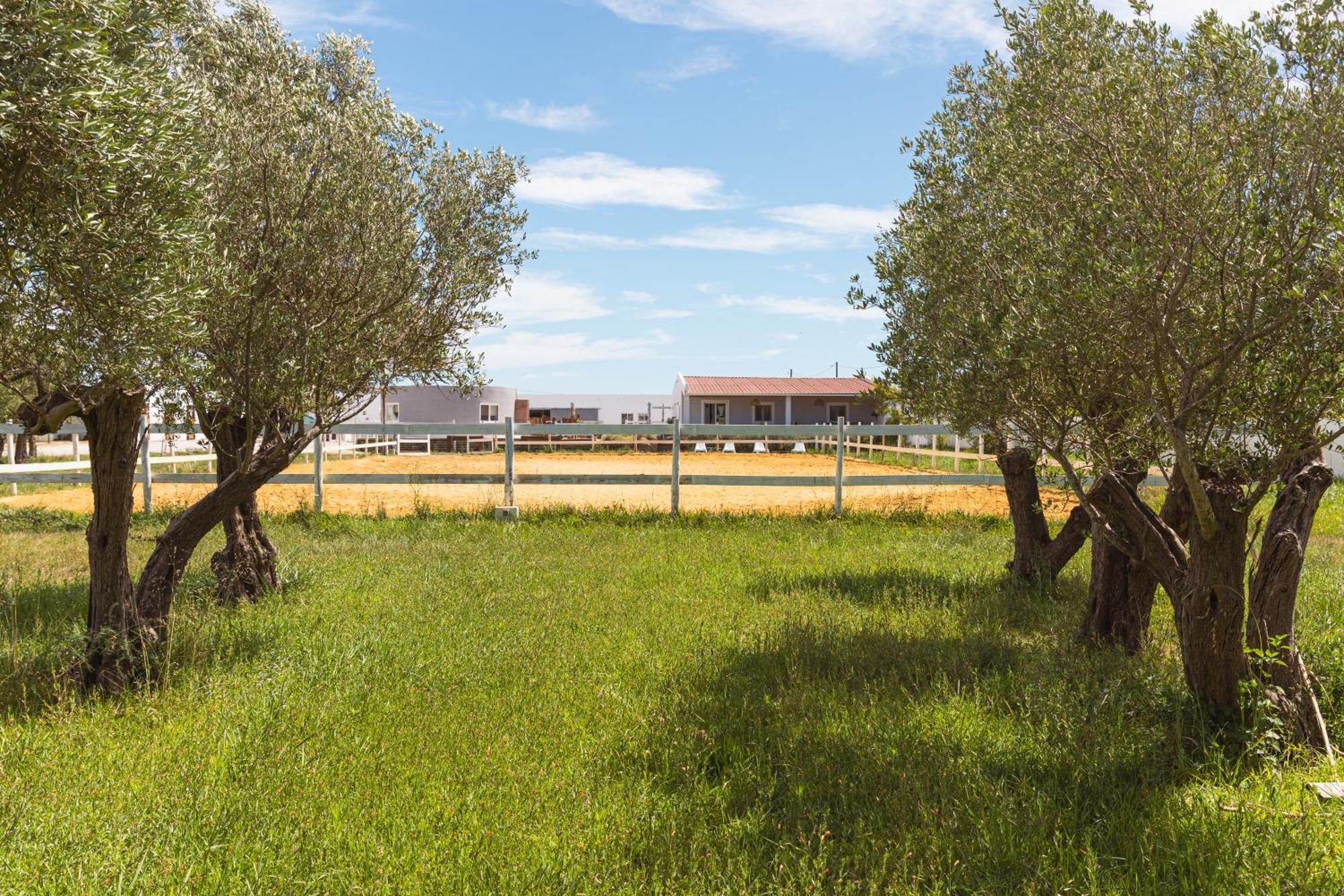 Vila Natura Barreiro  Extérieur photo